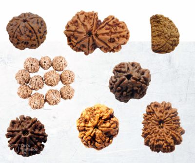 What are the different forms of Rudraksha Mala and what are their effects on humans?